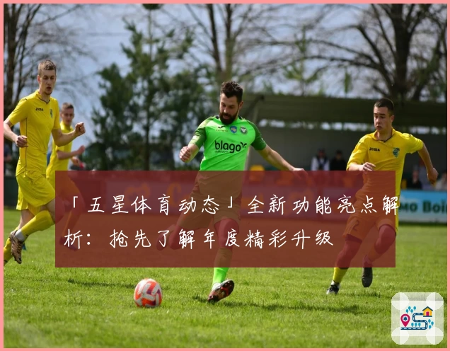 「五星体育动态」全新功能亮点解析：抢先了解年度精彩升级
