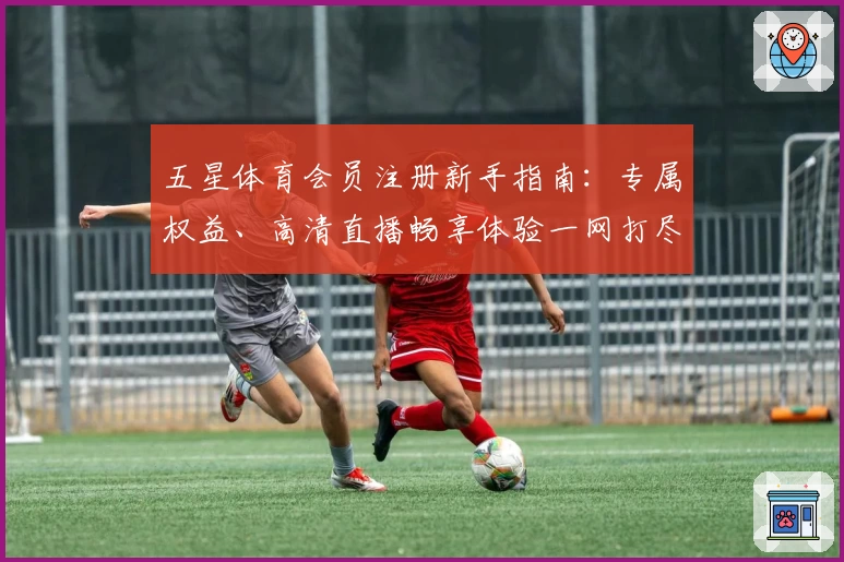 五星体育会员注册新手指南：专属权益、高清直播畅享体验一网打尽