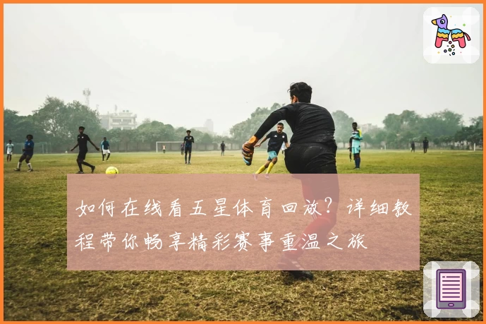 如何在线看五星体育回放？详细教程带你畅享精彩赛事重温之旅