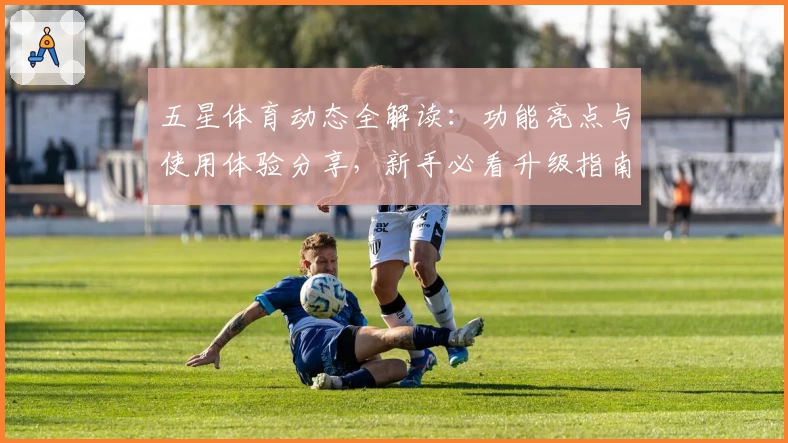 五星体育动态全解读：功能亮点与使用体验分享，新手必看升级指南
