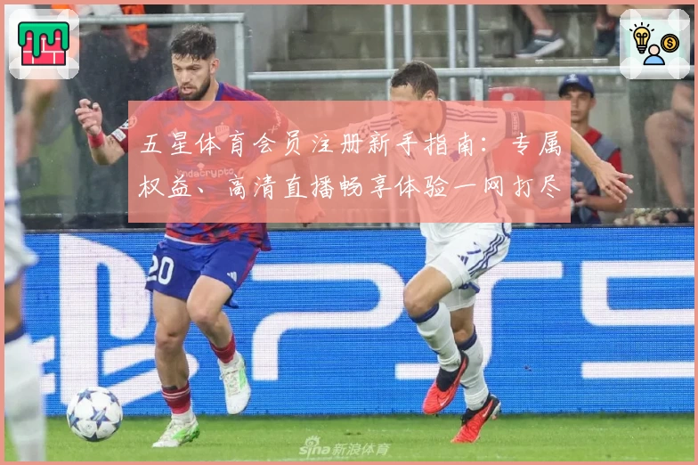 五星体育会员注册新手指南：专属权益、高清直播畅享体验一网打尽
